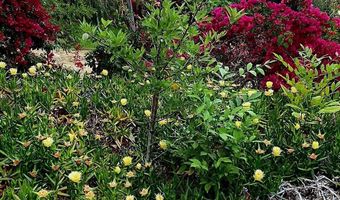 8530 Rockledge Rd, La Mesa, CA 91941