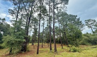 McPherson Drive, Alford, FL 32420