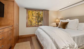 1020 E Hopkins Ave 9, Aspen, CO 81611