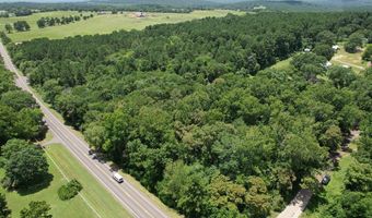 Hwy 21E, Alto, TX 75925