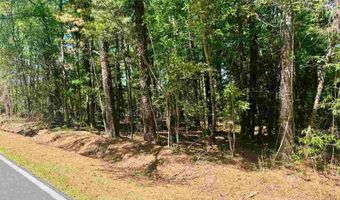 Grants Mill Rd W, Bennettsville, SC 29512