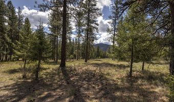 Nhn Mountain Vista Lane, Alberton, MT 59820