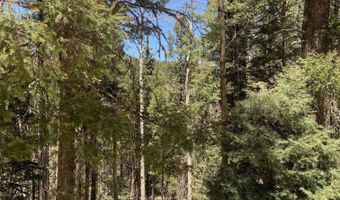 Lot 823 San Felipe Circle, Angel Fire, NM 87710