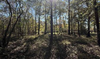 0 Lot 3 PLATTS Lndg, Bernice, LA 71222