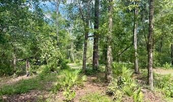 1109 NW 78th Ave, Bell, FL 32619