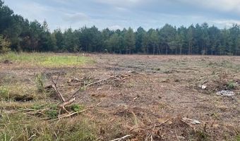 Lot 1-A Daniels Lane, Bennettsville, SC 29512