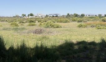 2195 Old River Rd, Fallon, NV 89406
