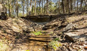 16032 Farm Road 1212, Aurora, MO 65605