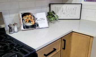 1517 N ELLAMONT St, Baltimore, MD 21216