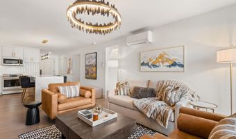 205 E Durant Ave Unit 1G, Aspen, CO 81611