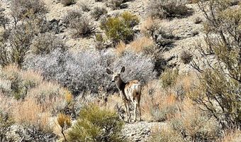 4 Camp Bonanza Rd, Cold Creek, NV 89124