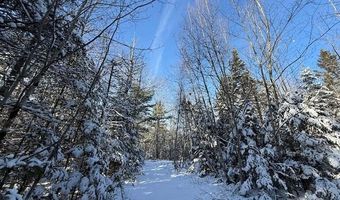 US-1 lot 10, Baring Plt, ME 04694