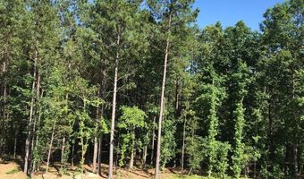 160 Slytown Rd, Amity, AR 71921