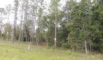 11730 NE 101ST Ter, Archer, FL 32618