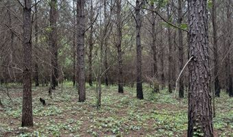 154 County Road 38 Acres, Banks, AL 36005