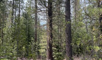 Lot 3207-03400-00400, Chiloquin, OR 97624