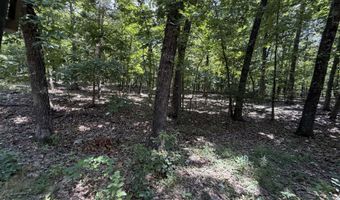 1767 Ff Hwy, Alton, MO 65606