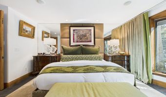 914 E Cooper Ave, Aspen, CO 81611