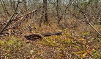 0 Ryan Rd, Baileyville, ME 04694