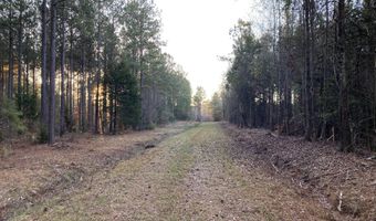 Tbd Spann Road, Batesburg Leesville, SC 29006