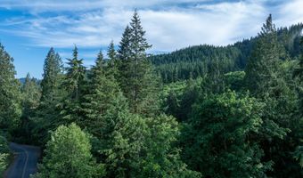 N Dubois Rd, Ariel, WA 98603