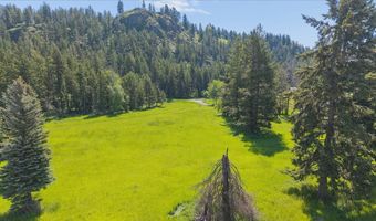 338 Hanging Rock Dr, Bigfork, MT 59911