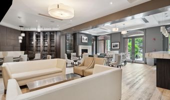 415 E Dean St Unit 38 Week 33, Aspen, CO 81611