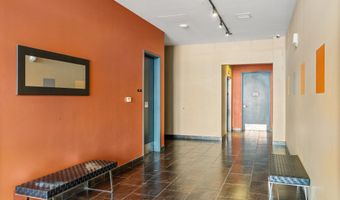 361 Robinson St 208, Basalt, CO 81621