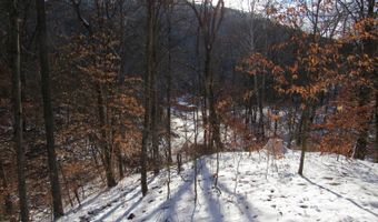 297 Woodburn Run Rd, Alma, WV 26320