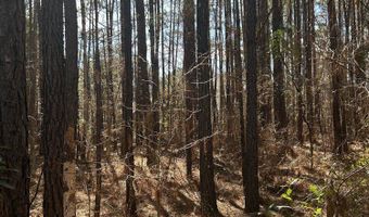 0 Mail Route Rd, Bonneau, SC 29431