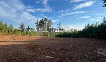 Ms Hwy 540, Braxton, MS 39044