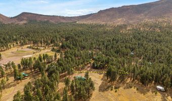 7 County Road 2312, Alpine, AZ 85920