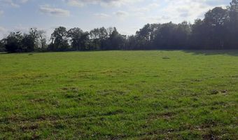 232 344 County Road 344, Bell, FL 32619