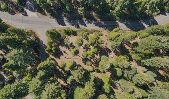 403 Sierra Pkwy, Camp Connell, CA 95223