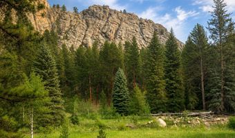 TBD County Road 59, Allenspark, CO 80510
