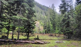 NNA Silver Ave, Bayview, ID 83803