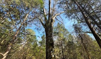 000 Mt Pleasant Ln SE, Bogue Chitto, MS 39629