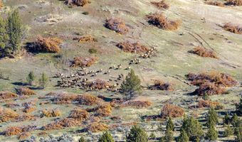 91355 HWY 293, Antelope, OR 97001