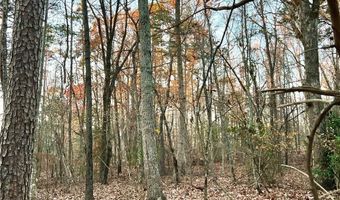 0 Pebble Creek Ln, Alto, GA 30510