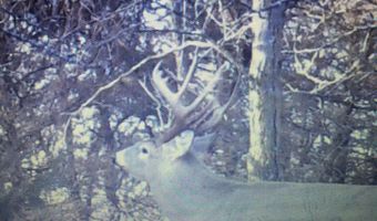 28146 382nd Ave, Armour, SD 57313