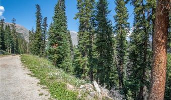 585 COUNTY ROAD 805, Breckenridge, CO 80424