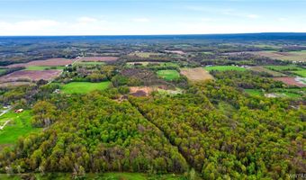 Beaver Road, Alexander, NY 14005