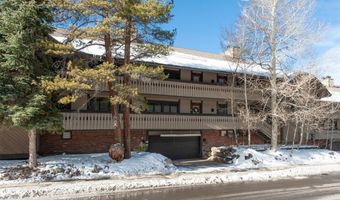 311 S HIGH St 209, Breckenridge, CO 80424