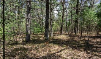 S Badger Lane lot 38, Arkdale, WI 54613