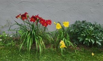 1019 Ash St, Alexandria, MN 56308