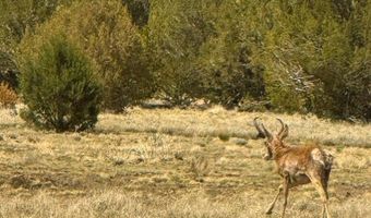 W Mile High Rd Lot C 10 Acres, Ash Fork, AZ 86320