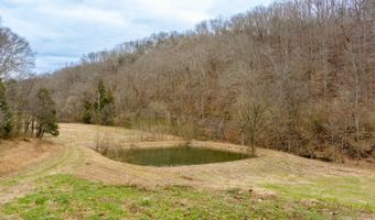 Willis Creek Rd, Albany, KY 42602