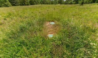 676 County Road 403, Alton, MO 65606