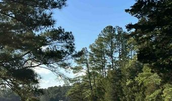 24385 DIX FARM Dr, Accomac, VA 23301