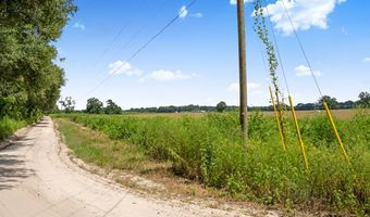3749 V 22nd Pl, Bell, FL 32619
